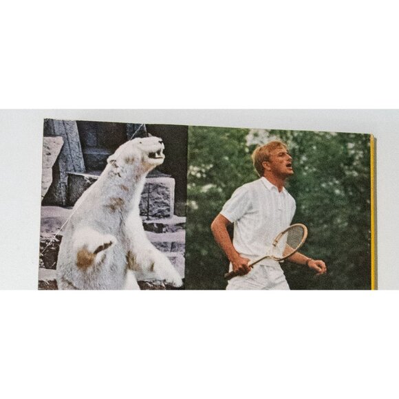 National Geographic Magazine October 1966 Vol. 130 No. 4 - Picture 6 of 8